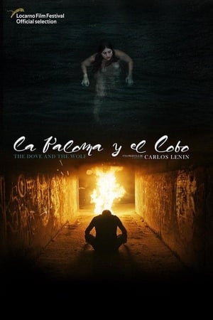 
La Paloma y el Lobo (2019)