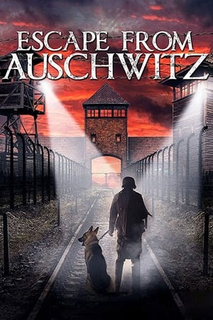 
The Escape from Auschwitz (2020)