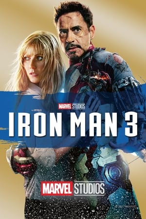 
Iron Man 3 (2013)