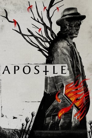 
El apóstol (2018)