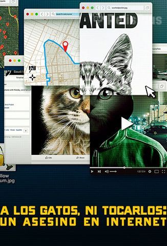 A Los Gatos, Ni Tocarlos: Un Asesino en Internet