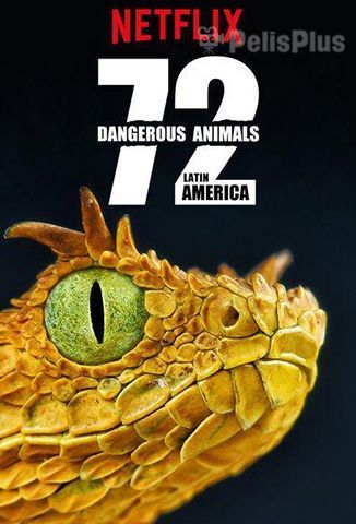 72 Animales Peligrosos: América Latina